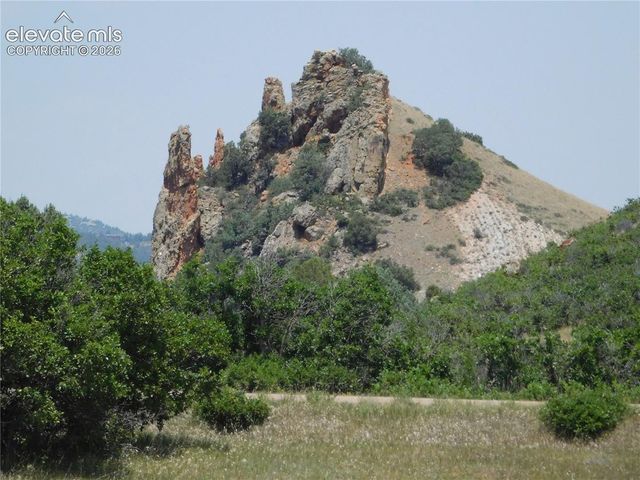 5980 Country Club Drive, Larkspur, CO 80118