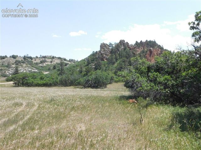 5980 Country Club Drive, Larkspur, CO 80118