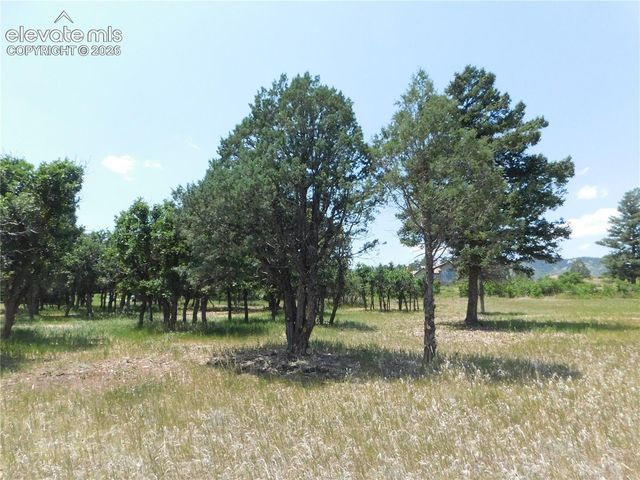 5980 Country Club Drive, Larkspur, CO 80118