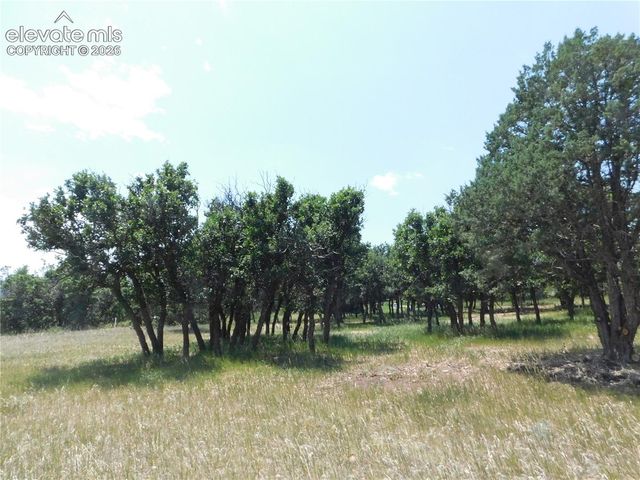 5980 Country Club Drive, Larkspur, CO 80118