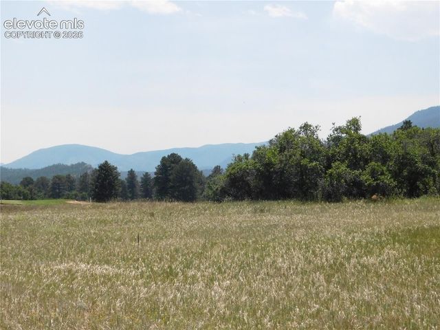 5980 Country Club Drive, Larkspur, CO 80118