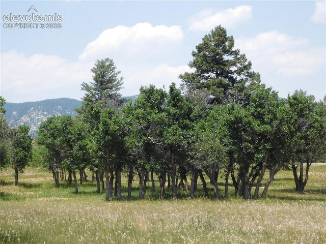 5980 Country Club Drive, Larkspur, CO 80118