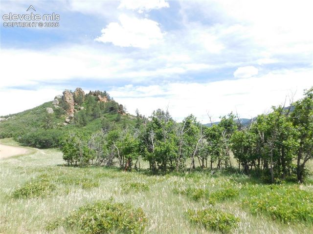 5980 Country Club Drive, Larkspur, CO 80118