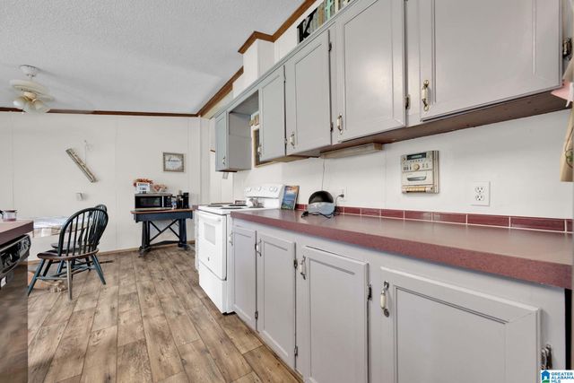 650 HIDDEN VALLEY DRIVE, Odenville, AL 35120