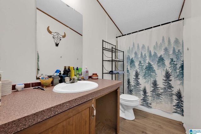 650 HIDDEN VALLEY DRIVE, Odenville, AL 35120