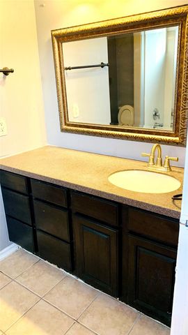 11422 Royal Thistle Court, Houston, TX 77088