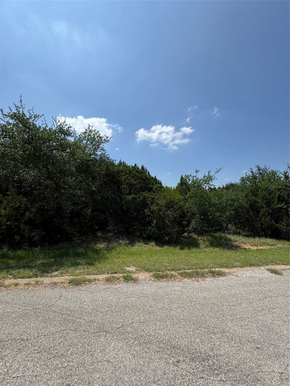 25047 Forrest Drive, Whitney, TX 76692