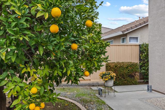 1121 Elderberry Cir, Folsom, CA 95630