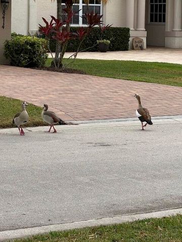 8413 Belfry Place, Port St. Lucie, Port St Lucie, FL 34986