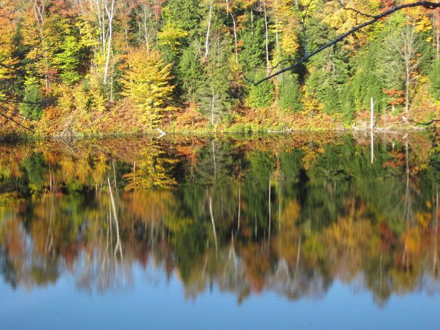 157 Gut Pond Drive, Eden, VT 05653