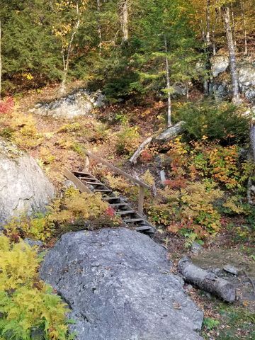 157 Gut Pond Drive, Eden, VT 05653