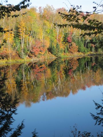 157 Gut Pond Drive, Eden, VT 05653
