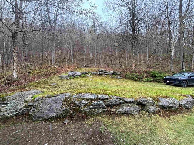 157 Gut Pond Drive, Eden, VT 05653