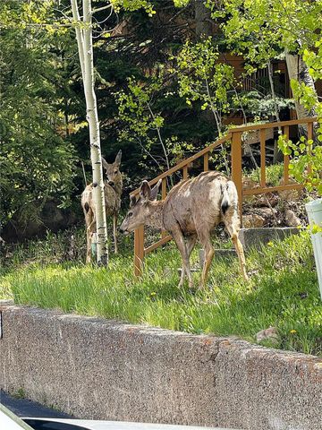 132 Burgundy Circle, Silverthorne, CO 80498