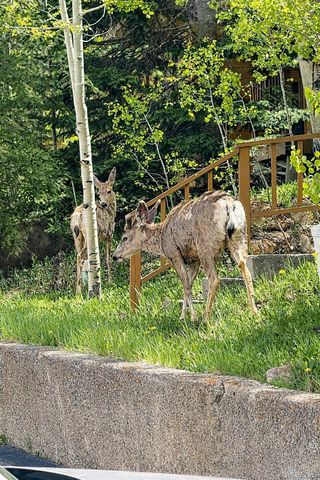 132 Burgundy Circle, Silverthorne, CO 80498