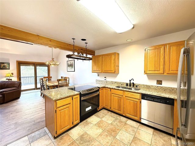 132 Burgundy Circle, Silverthorne, CO 80498