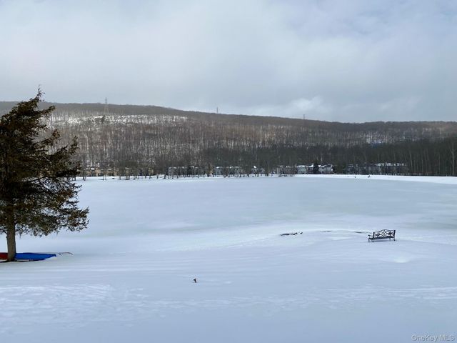 404 Mountain Laurel Drive, Monroe, NY 10950