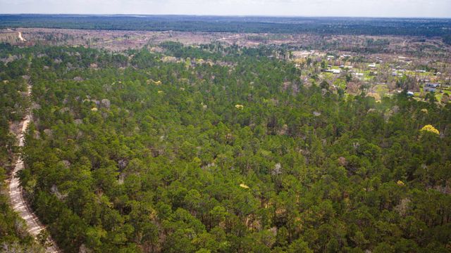 TBD Tract 3 Triple Creek Loop, Livingston, TX 77351