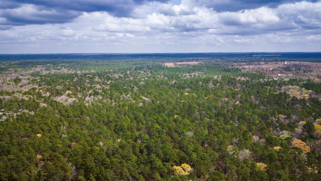 TBD Tract 3 Triple Creek Loop, Livingston, TX 77351