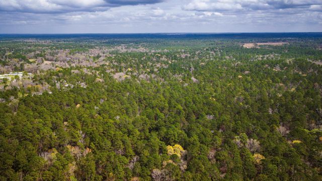 TBD Tract 3 Triple Creek Loop, Livingston, TX 77351