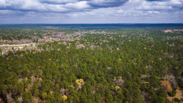 TBD Tract 3 Triple Creek Loop, Livingston, TX 77351