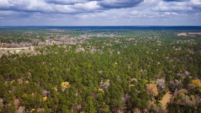 TBD Tract 3 Triple Creek Loop, Livingston, TX 77351