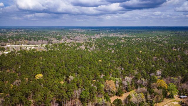 TBD Tract 3 Triple Creek Loop, Livingston, TX 77351