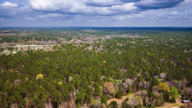 TBD Tract 3 Triple Creek Loop, Livingston, TX 77351