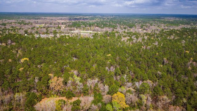 TBD Tract 3 Triple Creek Loop, Livingston, TX 77351