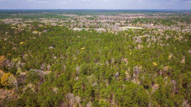 TBD Tract 3 Triple Creek Loop, Livingston, TX 77351