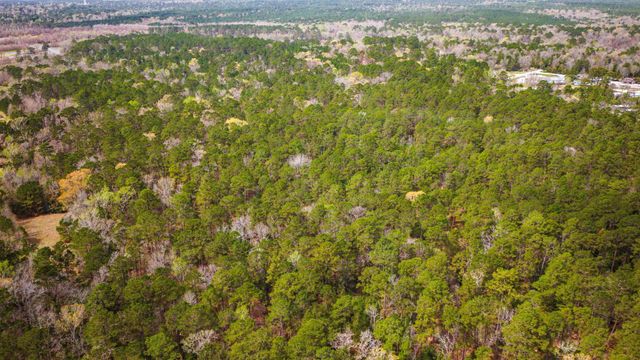 TBD Tract 3 Triple Creek Loop, Livingston, TX 77351