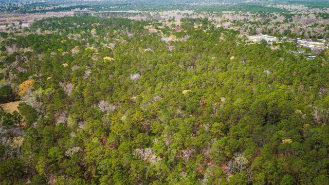 TBD Tract 3 Triple Creek Loop, Livingston, TX 77351