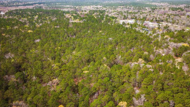 TBD Tract 3 Triple Creek Loop, Livingston, TX 77351