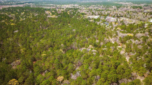 TBD Tract 3 Triple Creek Loop, Livingston, TX 77351