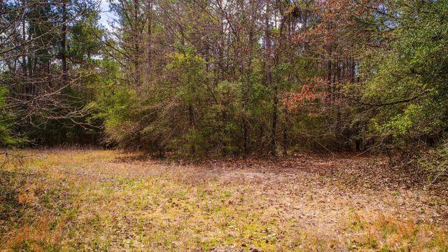 TBD Tract 3 Triple Creek Loop, Livingston, TX 77351