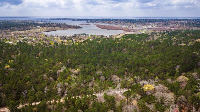 TBD Tract 3 Triple Creek Loop, Livingston, TX 77351