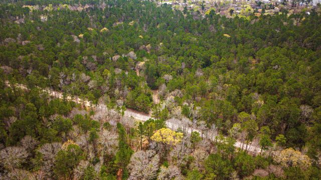 TBD Tract 3 Triple Creek Loop, Livingston, TX 77351