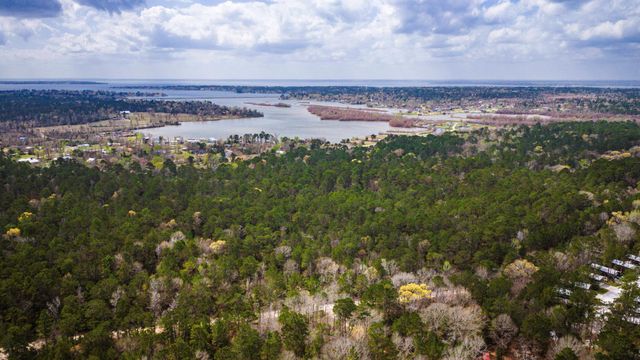 TBD Tract 3 Triple Creek Loop, Livingston, TX 77351