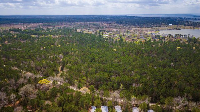 TBD Tract 3 Triple Creek Loop, Livingston, TX 77351