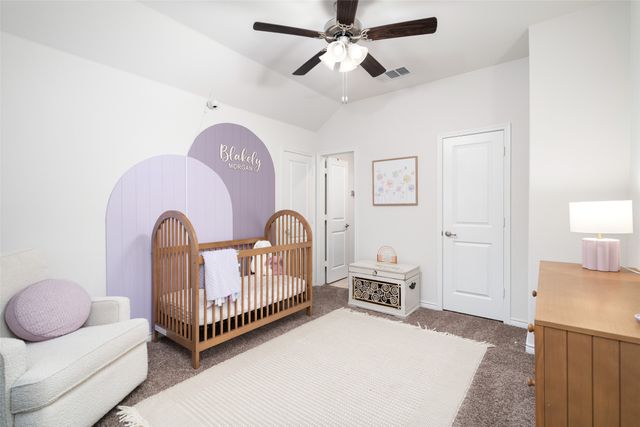 1717 Katelynn Lane, Anna, TX 75409