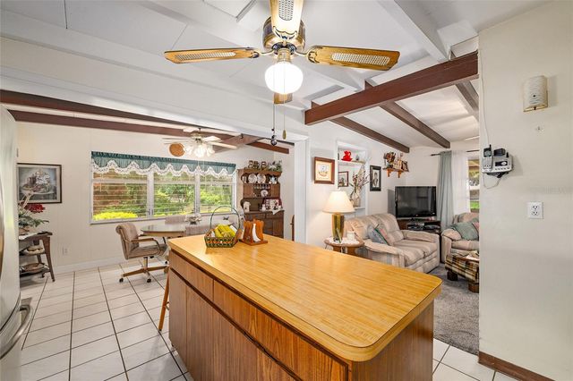 2345 CR 453, Lake Panasoffkee, FL 33538