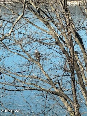 121 Forest Drive, Carl Junction, MO 64834