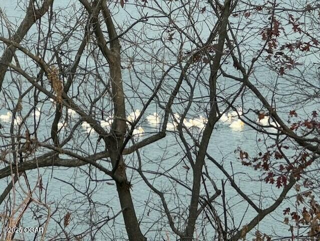 121 Forest Drive, Carl Junction, MO 64834