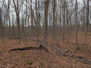 Thwing Road, Chardon, OH 44024