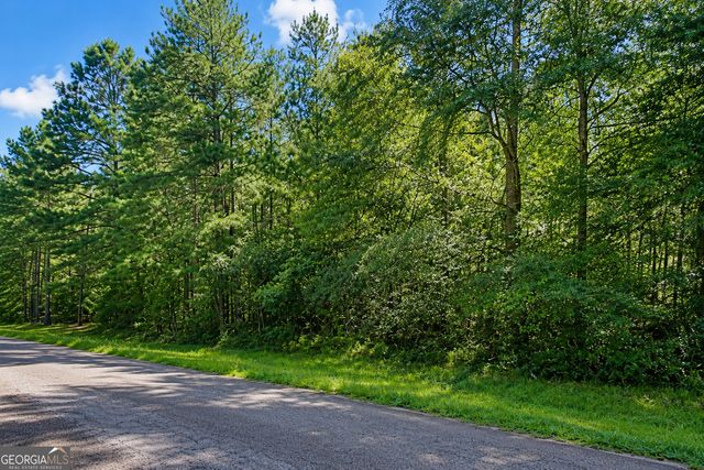 170 Riverbrook Terrance, Covington, GA 30016