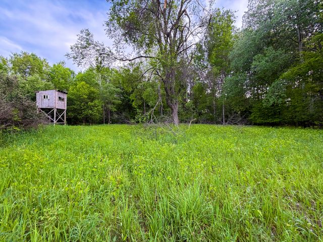 3091 E Sage Lake, Hill Twp, MI 48635