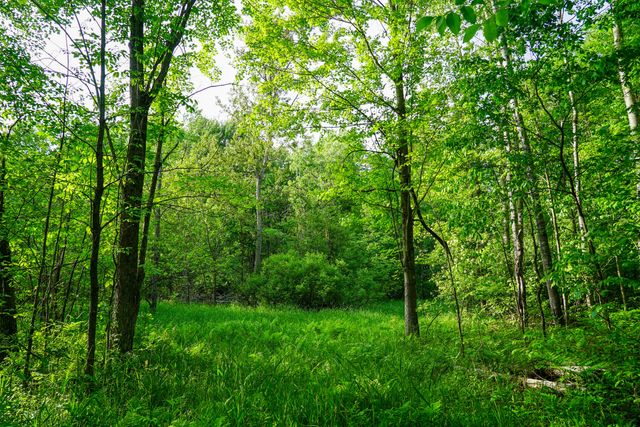 3091 E Sage Lake, Hill Twp, MI 48635