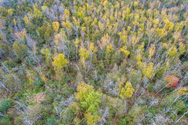 8804 County 416 J Road, Cornell, MI 49818