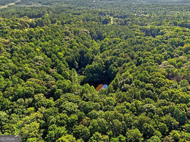 2810 Roscoe Road, Newnan, GA 30263
