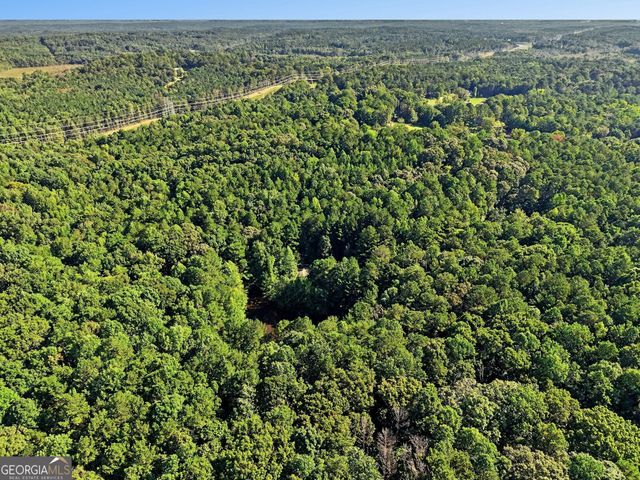 2810 Roscoe Road, Newnan, GA 30263